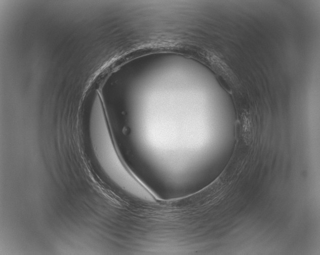 X0000052630684200507081940