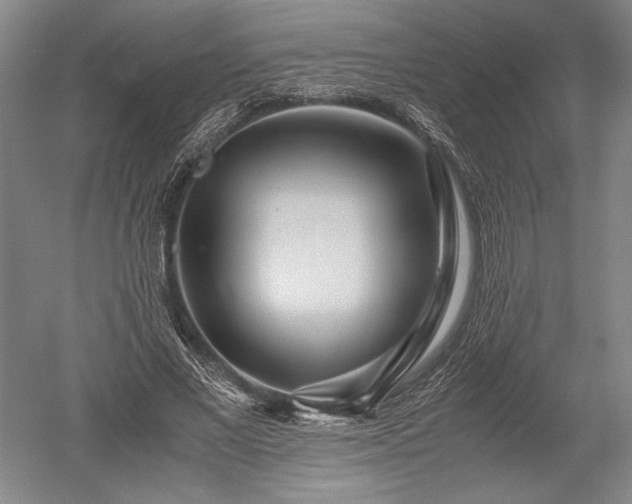X0000052630685200507081940