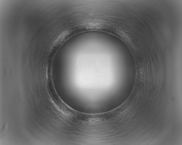 X0000052630686200507081940