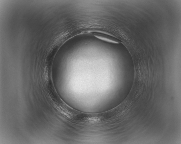 X0000052630692200507081940
