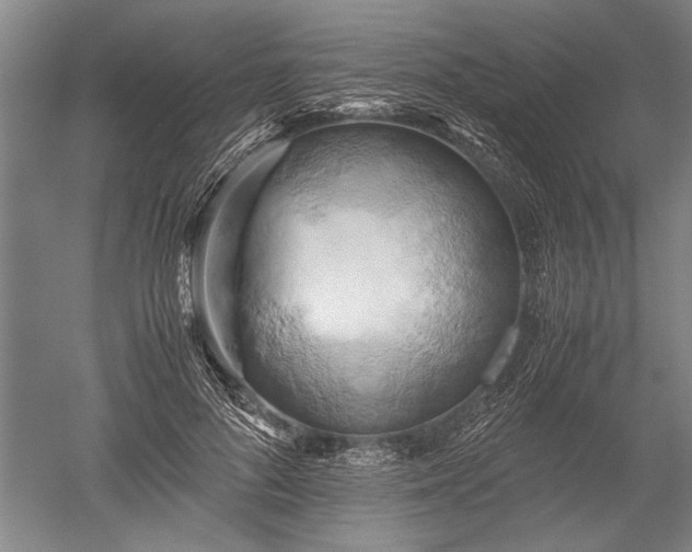 X0000052630696200507081940
