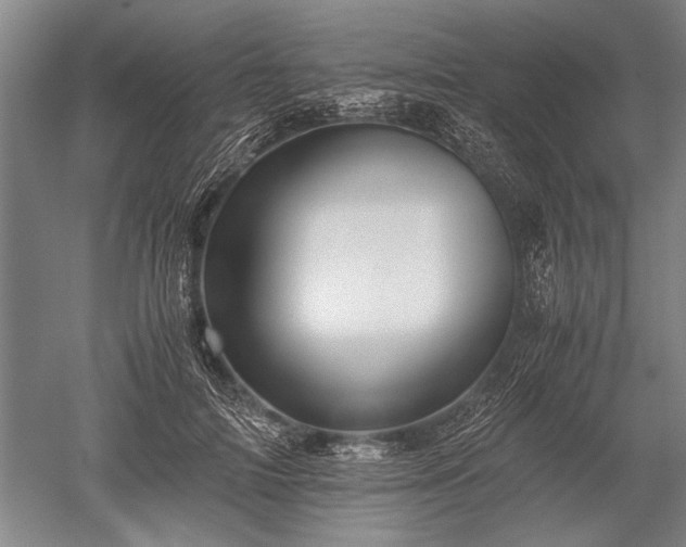 X0000052630698200507081940