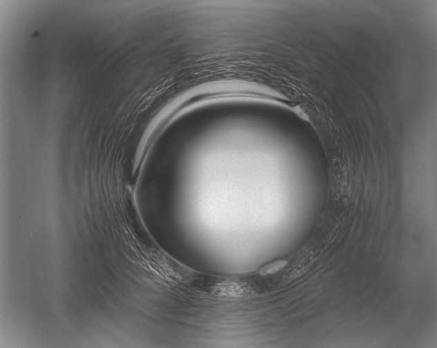 X0000052630704200507081939