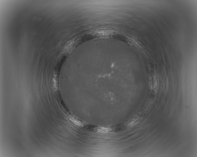 X0000052630718200507081939