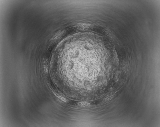X0000052630719200507081939