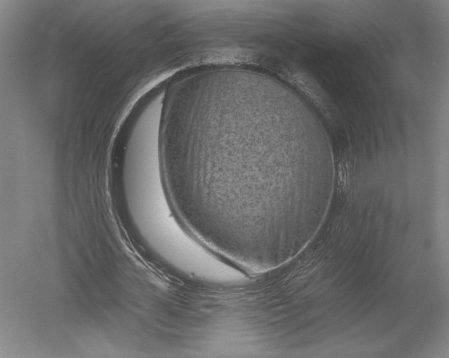 X0000052630724200507081938