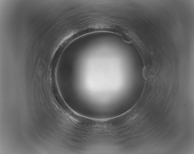 X0000052630727200507081938