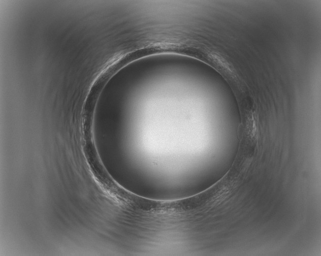 X0000052630730200507081939