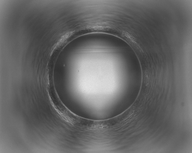 X0000052630734200507081939