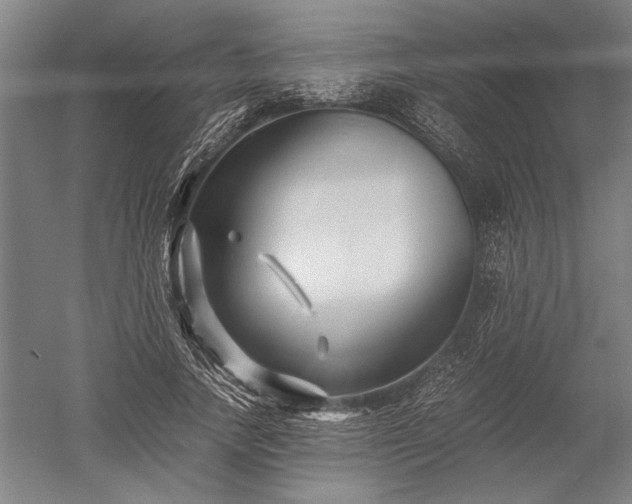 X0000052630738200507081939