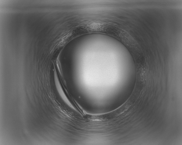 X0000052630746200507081939