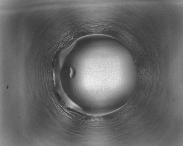 X0000052630752200507081939