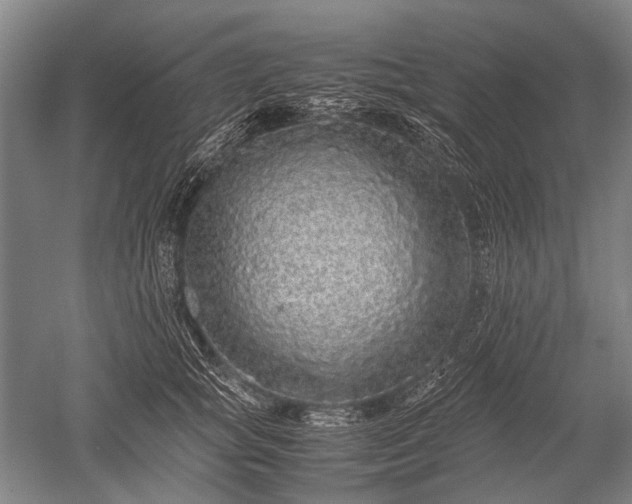 X0000052630757200507081939