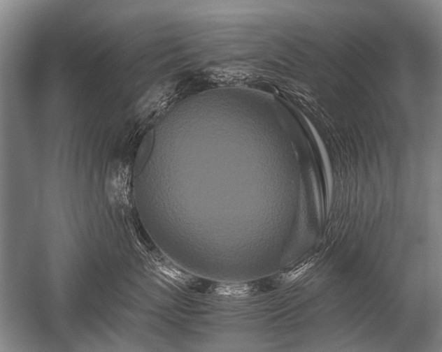 X0000052630767200507081939
