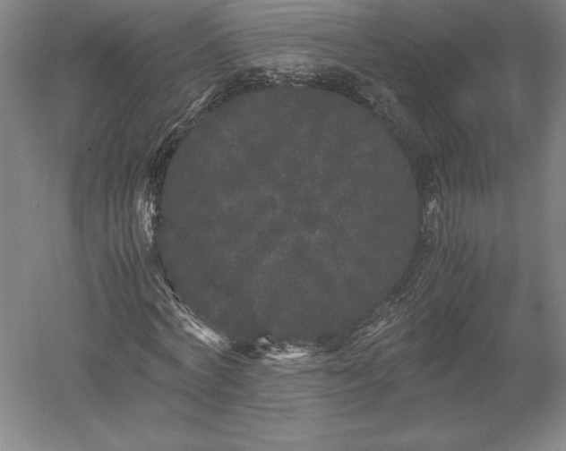 X0000052630772200507081938
