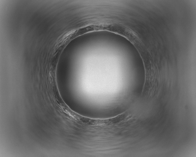 X0000052630773200507081938