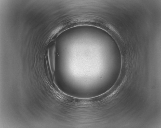 X0000052630777200507081938