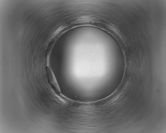 X0000052630778200507081938
