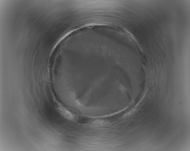 X0000052630779200507081938