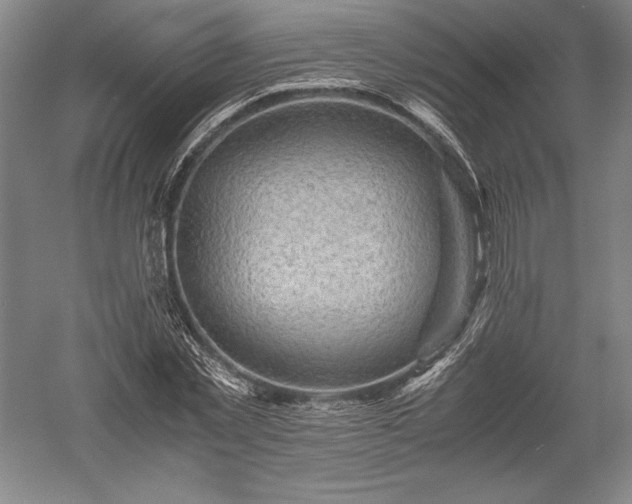 X0000052630781200507081938