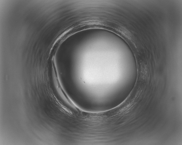 X0000052630782200507081938