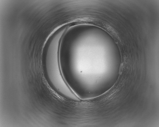 X0000052630784200507081938