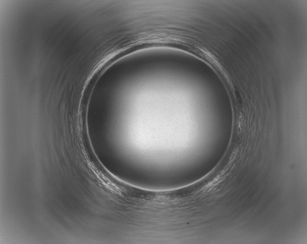 X0000052630787200507081938