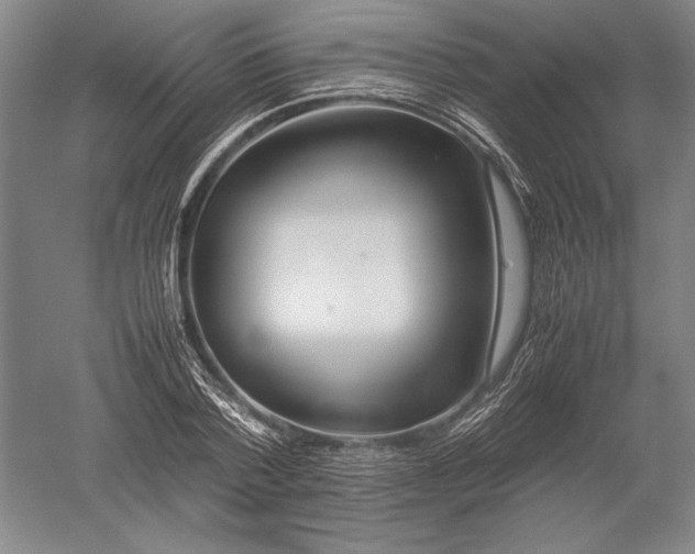 X0000052630788200507081938