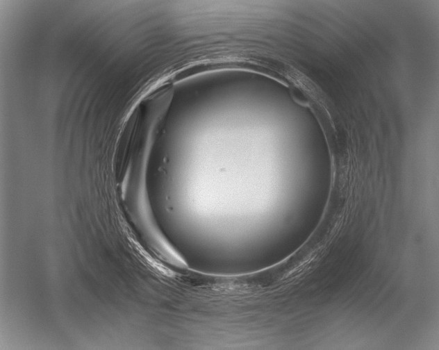 X0000052630789200507081938
