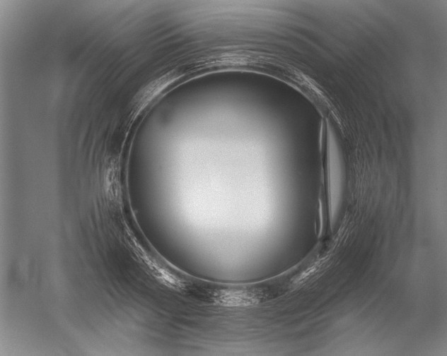 X0000052630794200507081938