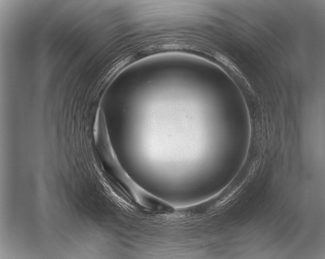 X0000052630801200507081938