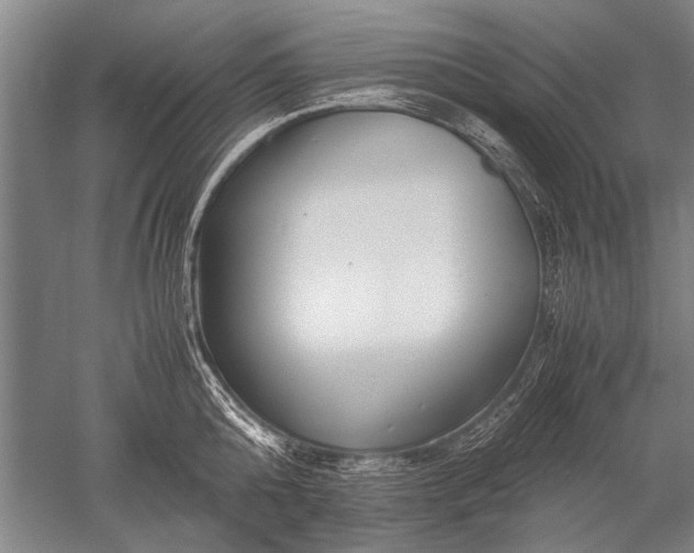 X0000052630808200507081938