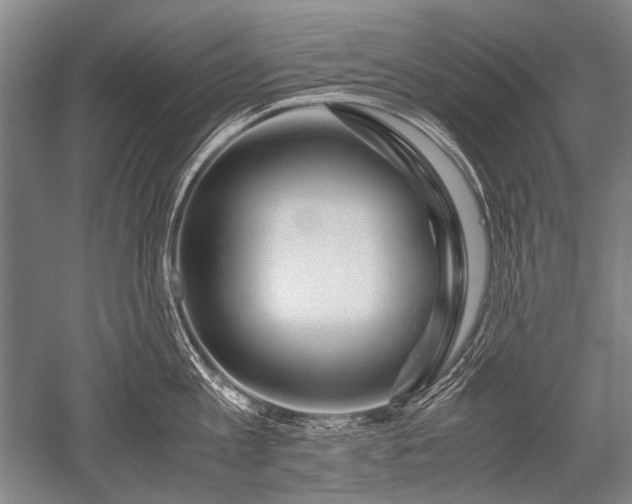 X0000052630813200507081938