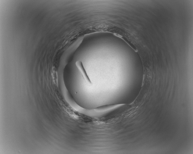 X0000052630818200507081937