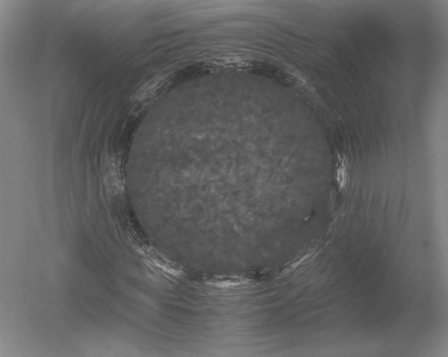 X0000052630819200507081937