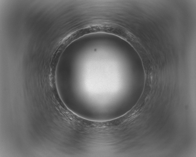 X0000052630822200507081937