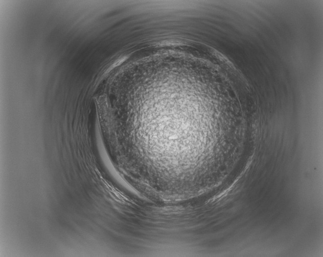 X0000052630825200507081937