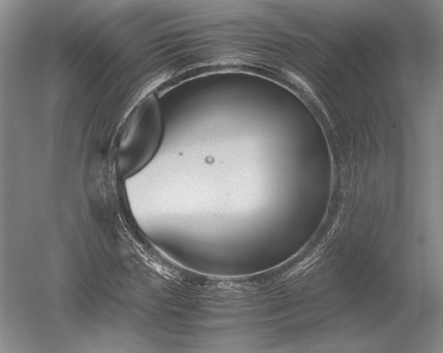 X0000052630827200507081937