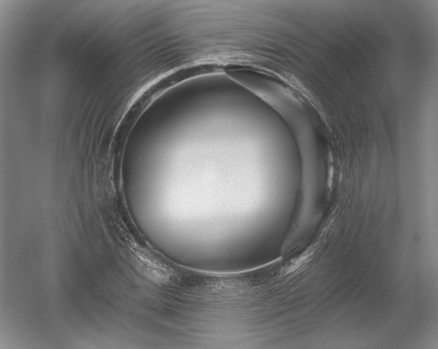 X0000052630830200507081937