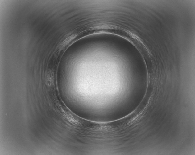 X0000052630833200507081937
