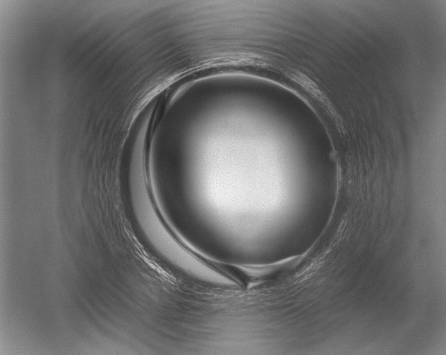 X0000052630834200507081937