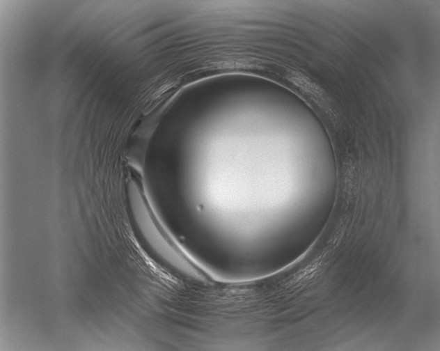 X0000052630841200507081937