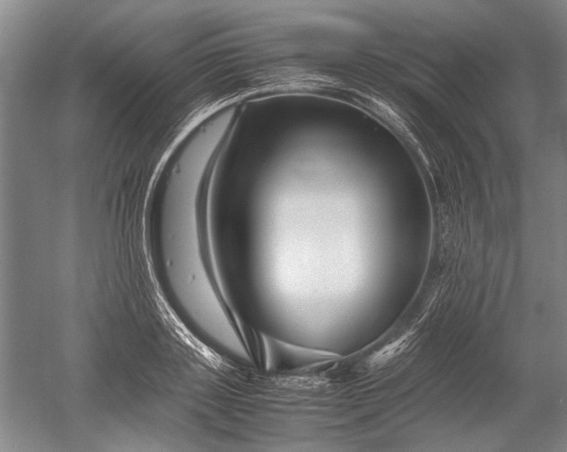 X0000052630843200507081937