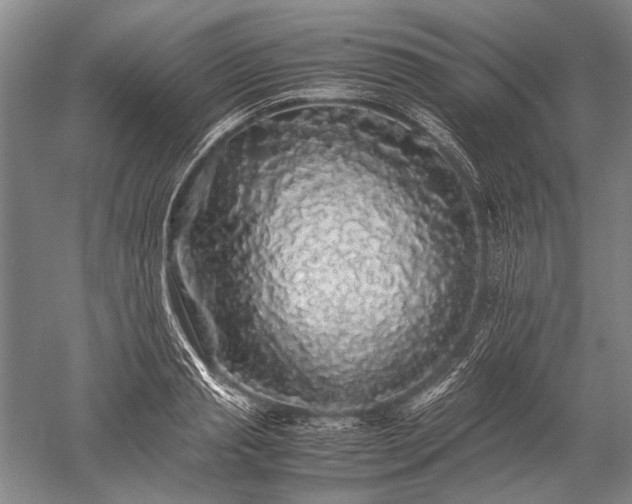 X0000052630845200507081937