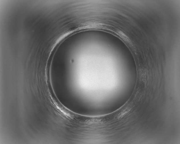 X0000052630846200507081937