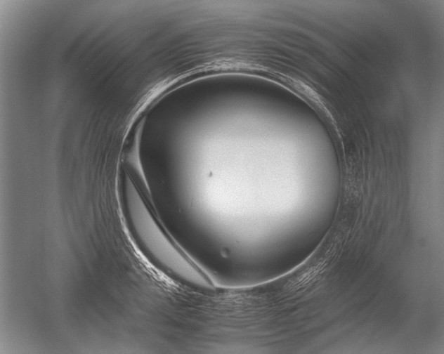 X0000052630847200507081937
