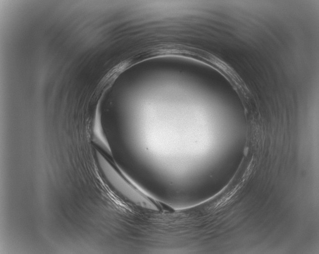 X0000052630857200507081937