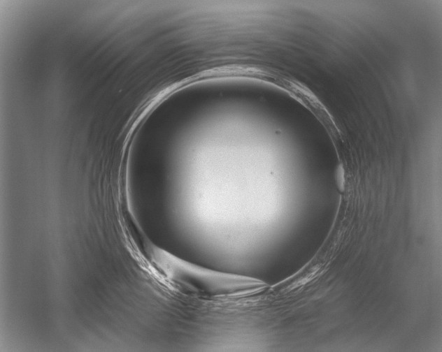 X0000052630860200507081937