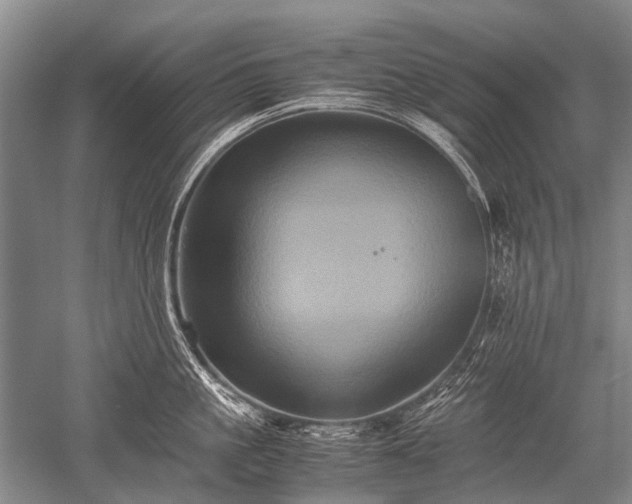 X0000052630861200507081938