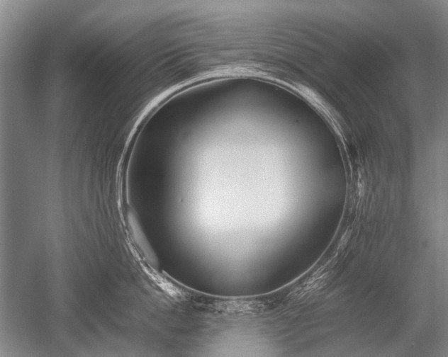 X0000052630862200507081938